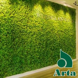 چمن مصنوعی دیواری و تزئینی