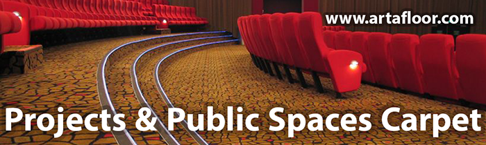 Arta Projects and Public Spaces Carpet